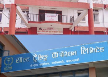 साल्ट ट्रेडिङ र खाद्यलाई भन्सार छुटमा चिनी आयात गर्न स्वीकृति, चाडपर्वमा अभाव नहुने