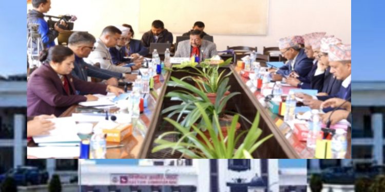 आज बस्याे अर्थ समितिको बैठक के के भयाे छलफल