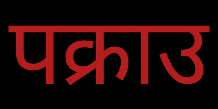 अवैध लागूऔषध सहित ९ जना पक्राउ