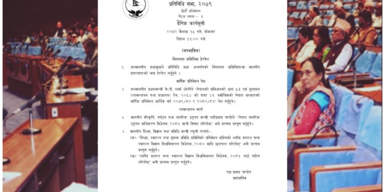 प्रतिनिधि सभा बैठक आज