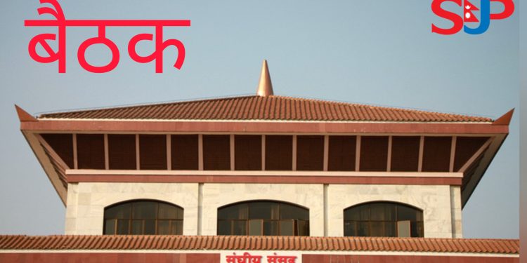 प्रतिनिधि सभा बैठक बस्दै