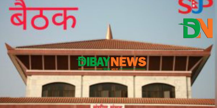 प्रतिनिधि सभा बैठक