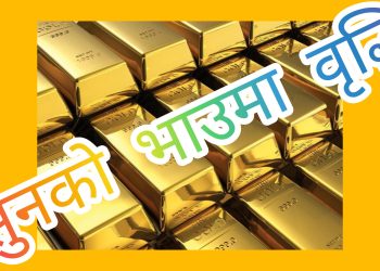 सुनको भाउ तोलामा रु.१४०० ले वृद्धि