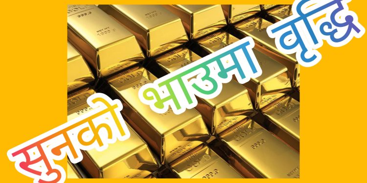 सुनको भाउ तोलामा रु.१४०० ले वृद्धि