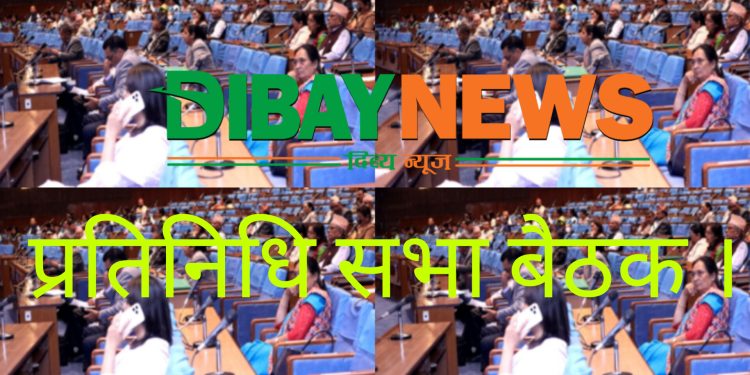 आजकाे प्रतिनिधि सभाको बैठक