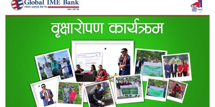 ग्लोबल आइएमई बैंकद्वारा टोखा र दिक्तेल रुपाकोट मझुवागढी नगरपालिकामा बृक्षारोपण