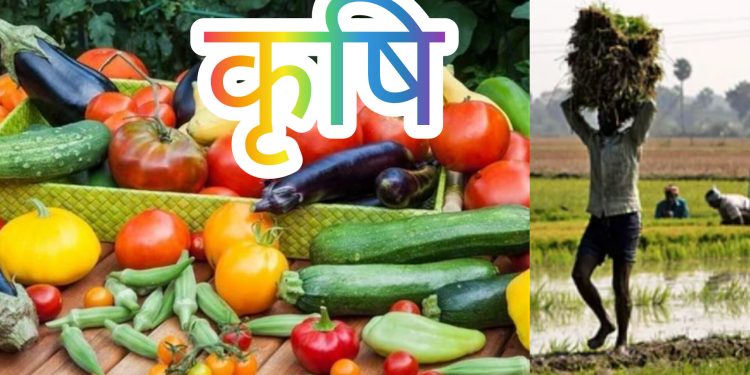 कृषि क्षेत्रलाई आत्मनिर्भर बनाउने तयारीमा सरकार