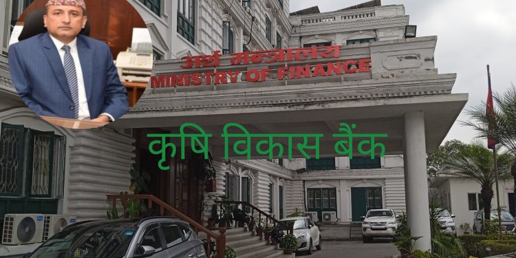 कृषि विकास बैंकको अध्यक्षमा डिम प्रसाद पौडेल