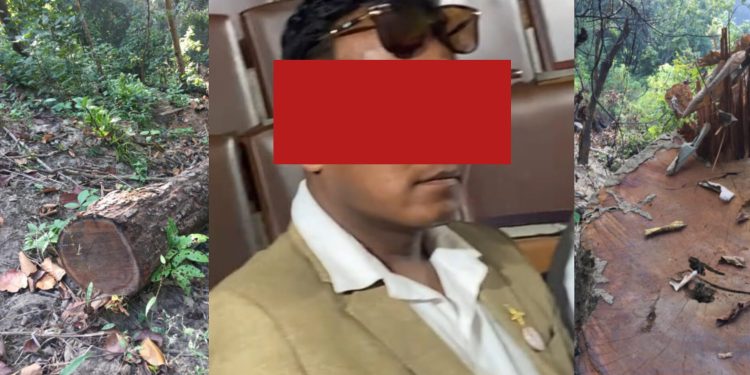 सामुदायिक जंगलबाट काठ तस्कर भएको दुई वर्ष बितिसक्दा पनि सम्बन्धित निकायले ध्यान दिएन