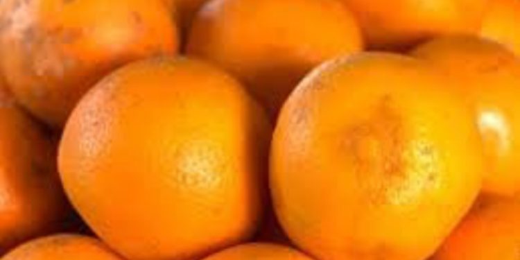 गोलन्जोर गाउँपालिकाले २३ गतेदेखि जुनार मेला लगाउने