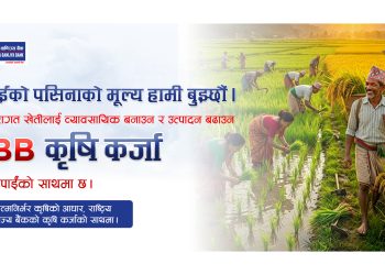 कृषिमा लगानी बढाउँदै राष्ट्रिय वाणिज्य बैंक ३९ अर्बभन्दा बढी कर्जा प्रवाह