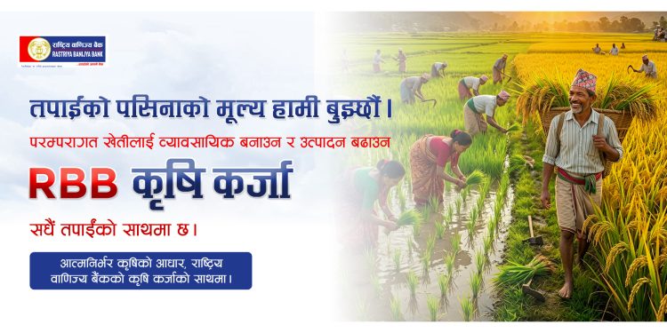 कृषिमा लगानी बढाउँदै राष्ट्रिय वाणिज्य बैंक ३९ अर्बभन्दा बढी कर्जा प्रवाह